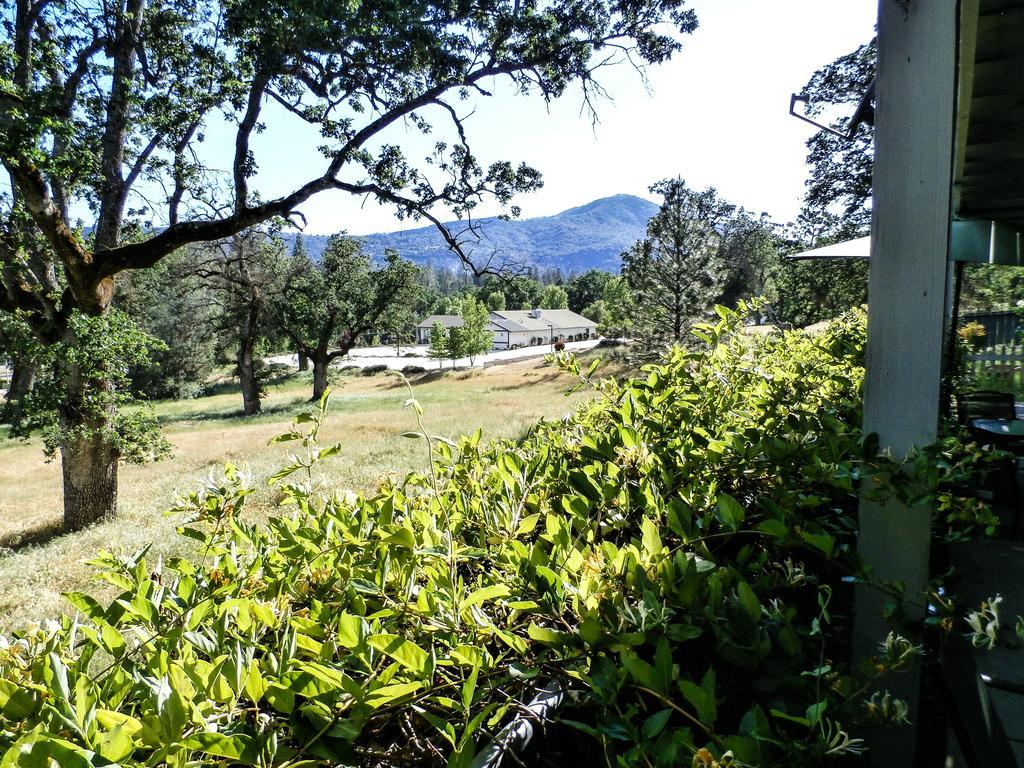 Apartamento Charming Downstairs Unit Oakhurst Exterior foto