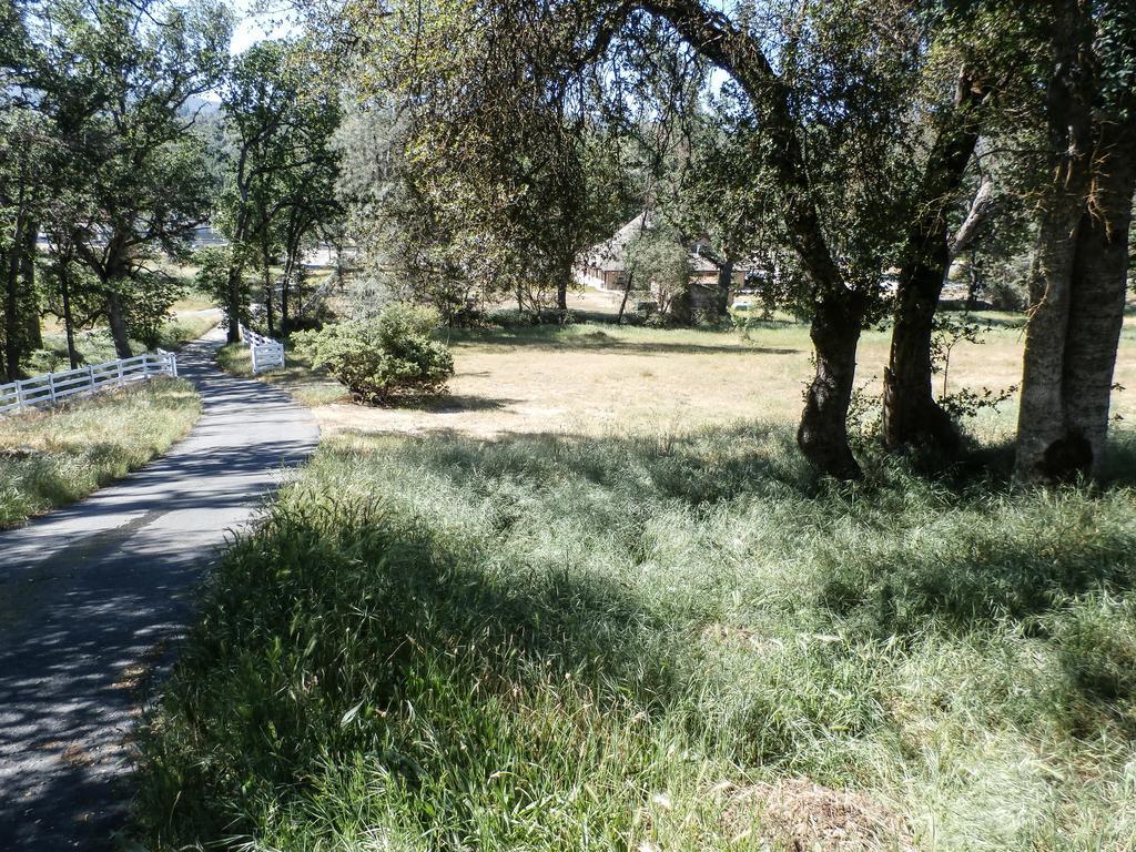 Apartamento Charming Downstairs Unit Oakhurst Exterior foto