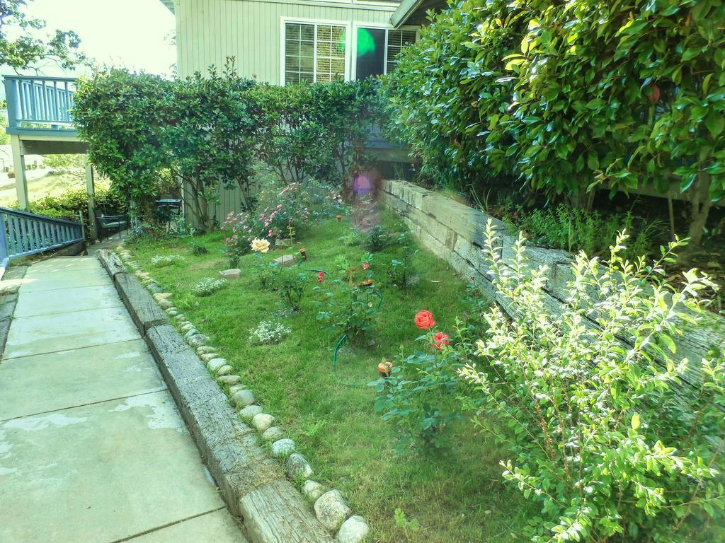 Apartamento Charming Downstairs Unit Oakhurst Exterior foto